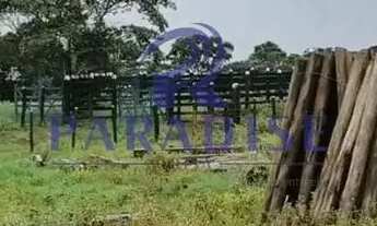 Imagem 5: Fazenda, Centro, Cachoeira - R$ 7.29 mi, Cod: 68870