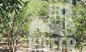 Imagem 7: Fazenda com 59 Alqueires em Casimiro de Abreu Casa Sede Imponente, Abundância Hídrica e Na