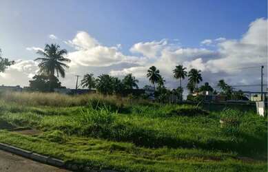 Imagem 7: Lote com 450m² à venda na exclusiva Praia do Marceneiro, em São Miguel dos Milagres