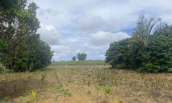 Imagem 3: Vendo chácara no Incra (Texas