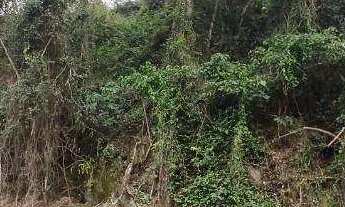 Imagem 2: Terreno à Venda, 660 m² por R$ 300.000 - Itaipu - Niterói/RJ