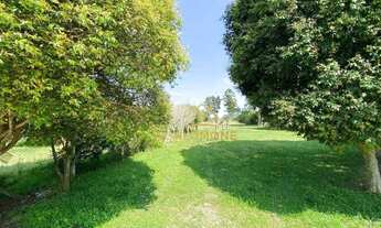 Imagem 3: Salomone vende Sítio de 8151me com 4 casas perto da rs040