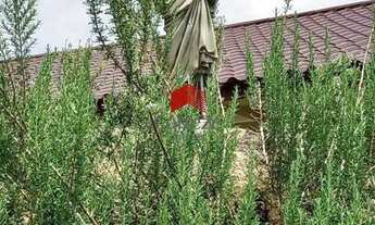 Imagem 4: Chácara com 8.233,67m² 2 quartos, à venda, no bairro Área Rural (Quatro Pinheiros) em Mand