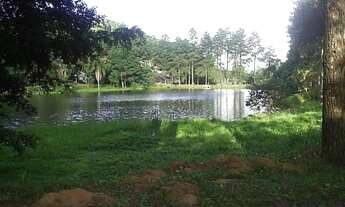 Imagem 6: Lote em Rua Madeira - Granja Carneiro Viana - Cotia/SP