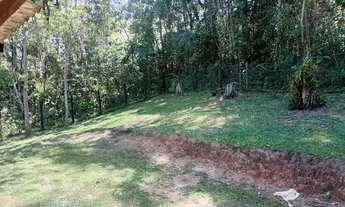 Imagem 2: Chacara plantio próximo ao centro + palmital