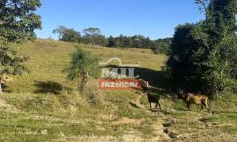 Imagem 6: Fazenda 33 alqueires (159,72 hectares) Edeia - GO