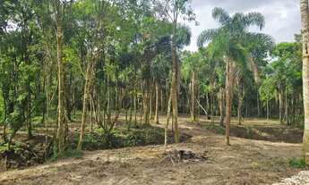 Imagem 5: Belas Áreas a venda Roseira , ótima oportunidade