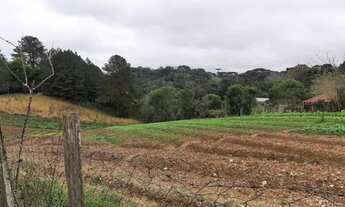 Imagem 4: Vendo área com 23.000m², para construção de condomínio horizontal