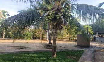 Imagem 2: Fazenda à Venda - 294 Alqueires Tocantins, na divisa com Goiás