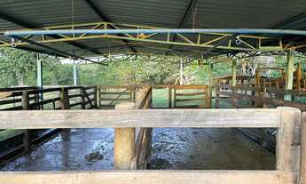 Imagem 4: Ótima chácara em Itaberaí