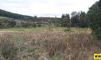Imagem 4: Terreno para Venda em Nova Petrópolis, Pinhal Alto