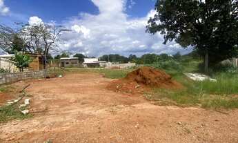 Imagem 2: Vendo excelente lote no guara park