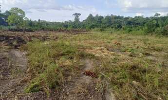 Imagem 7: Vende-se uma chácara na vicinal 5 de Iracema