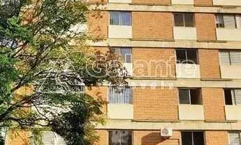 Imagem: Apartamento - Cambuí - Campinas