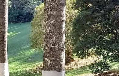 Imagem 6: Vendo sítio na Quintas da serra em Caeté próximo a serra da piedade