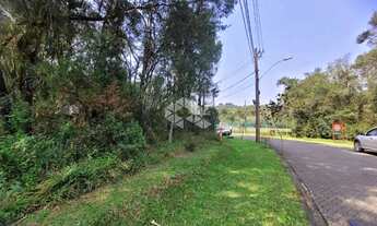 Imagem 4: Pinheiro Grosso Terreno / lote com venda por R$870.000