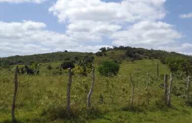 Imagem 4: Fazenda Fazenda / sítio com venda por R$15.000