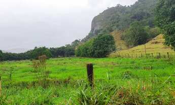 Imagem 2: Venda-se está propriedade de 45 Alqueires no Município de Rio Novo do Sul/