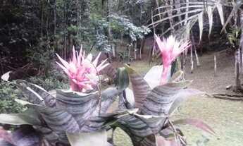 Imagem 2: Chalé TÉRREO no CONDOMÍNIO CLUBE RN FLEMING (Antigo Village Juquitiba)!!!