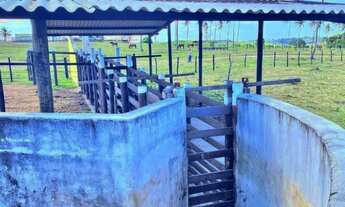 Imagem 6: Fazenda em Indiaroba com 163 Tarefas