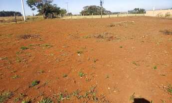 Imagem 6: Vendo terreno de 1.000 MTS quadrado