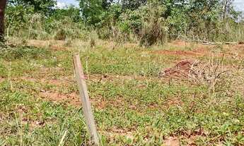 Imagem 7: Fazendinhas Planas com 20.000m2 às Margens da Rodovia 040