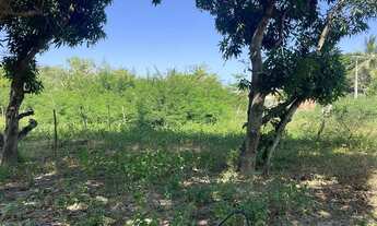 Imagem 3: Vendo terreno no Santa Maria