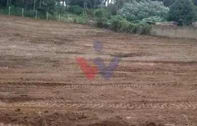 Imagem 5: Terreno Premium no Bairro Costeira com Potencial para 180 Apartamentos