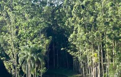 Imagem 3: Garanta Seu Lote em Caucaia do Alto Entrada a Partir de R$15.000!