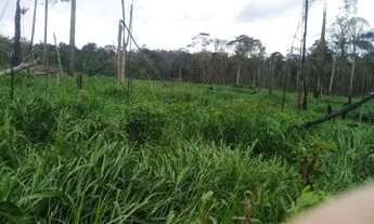 Imagem 4: Fazenda de 900 hectares Rorainópolis. ler descrição do anuncio