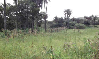 Imagem 6: Linda chácara de 1.500 m², Serra do Cipó (Temos varias opções