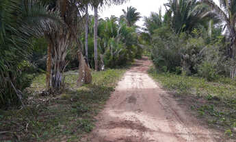 Imagem: Fazenda Gameleira em União-PI