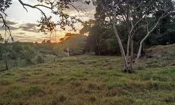 Imagem 6: Sítio, chácara 2 hectares 21 mil metros