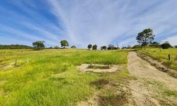 Imagem 5: Chácara em Goianesia