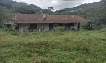 Imagem 5: Ótimo Sítio contendo 13,9 hectares em Delfim Moreira- Sul de Minas Gerais