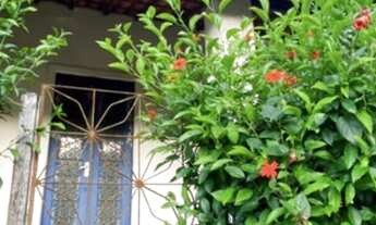 Imagem 6: Sítio à venda com casa principal e casa do caseiro em Guaramiranga!