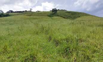 Imagem 3: Lote/Terreno para venda tem 24200 metros quadrados em Centro - Bueno Brandão - MG