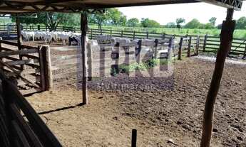 Imagem 6: FAZENDA RURAL em NOSSA SENHORA DO LIVRAMENTO - MT, CENTRO
