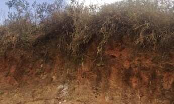 Imagem 7: Loteamento-São Paulo-HORTO