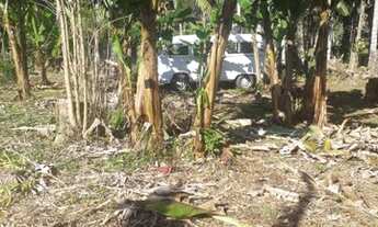 Imagem 4: Chácara com 15.000m2 Morretes - Antonina