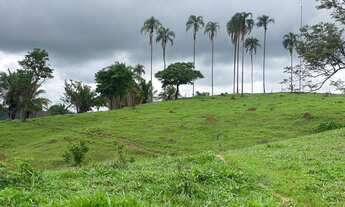 Imagem 6: 16 alqueires em Neropolis-Go