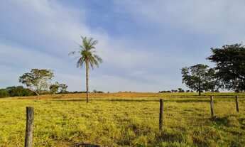 Imagem 4: Fazenda em Goianesia