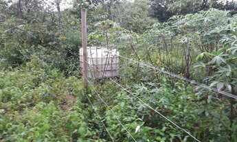 Imagem 3: Sitio 3.7 Hectares//Ótimo Acesso /Rio PERENE///Saída Pirapora!!