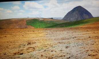 Imagem 6: Fazenda Sul da Bahia. Guaratinga