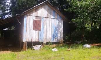 Imagem 5: São Francisco de Paula - Sítio - Samambaia