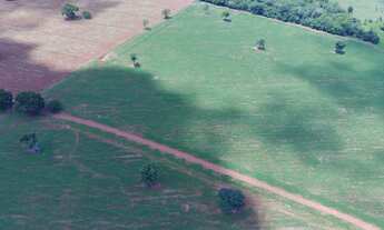 Imagem 2: Fazenda em 24 alqueires Bela Vista-Go