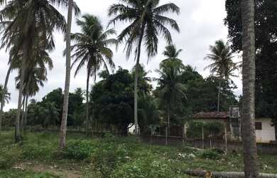 Imagem 5: Excelente terreno de granja em São José de mipibu - RN