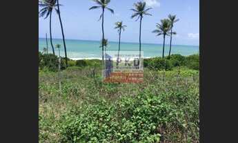 Imagem 2: TERRENO COMERCIAL em CANGUARETAMA - RN, BARRA DE CUNHAÚ