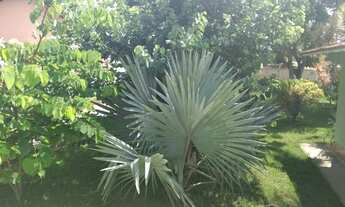 Imagem 4: Linda Casa Com piscina