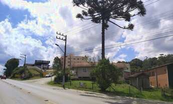 Imagem 4: EXCELENTE TERRENO COMERCIAL AS MARGENS DA BR 280 - VILA NOVA - RIO NEGRINHO SC